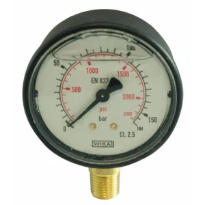 MANOMETRO GLIC. § 63 0-250 BAR