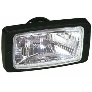 FARO ANTERIORE CON CORNICE