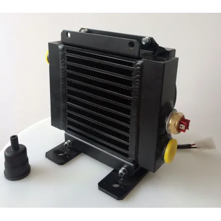 SCAMBIATORE 24V DC