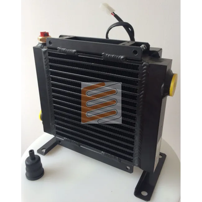 SCAMBIATORE 24V DC