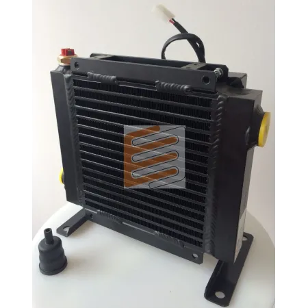 SCAMBIATORE 24V DC