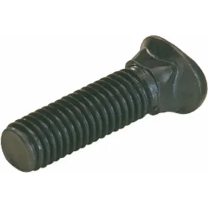 VITE TESTA OVALE 10X45 + DADO