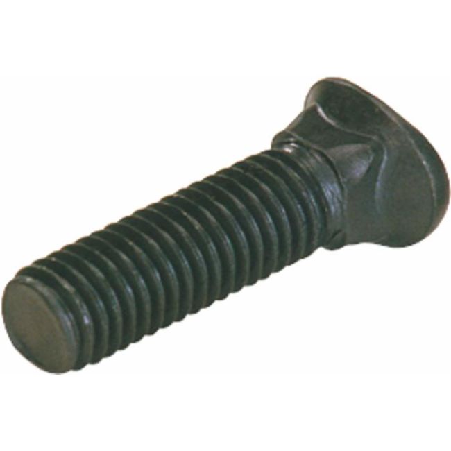 VITE TESTA OVALE 10X45 + DADO