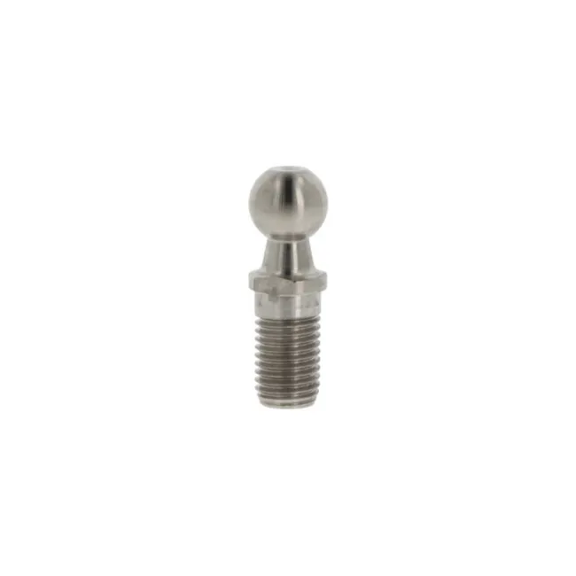C19-M16-INOX | CHI