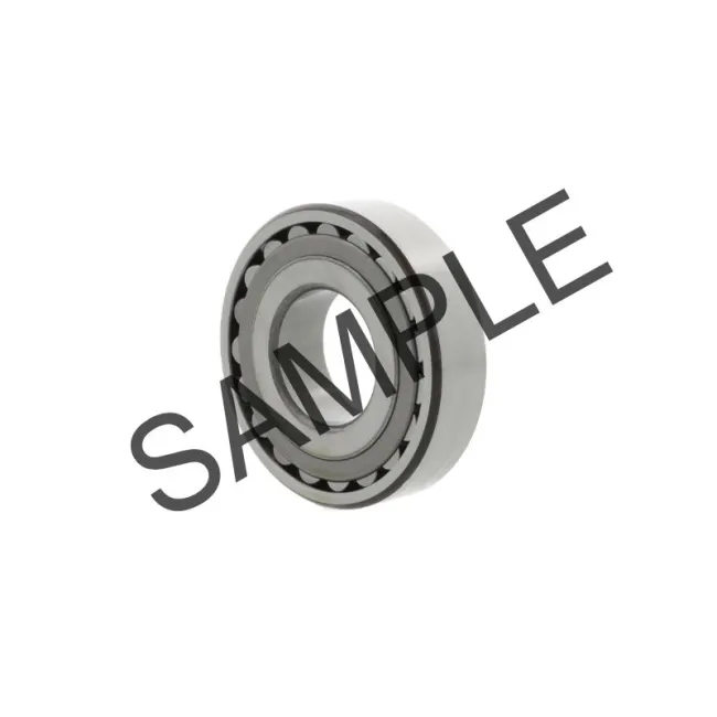 21310KEJW33 | TIM