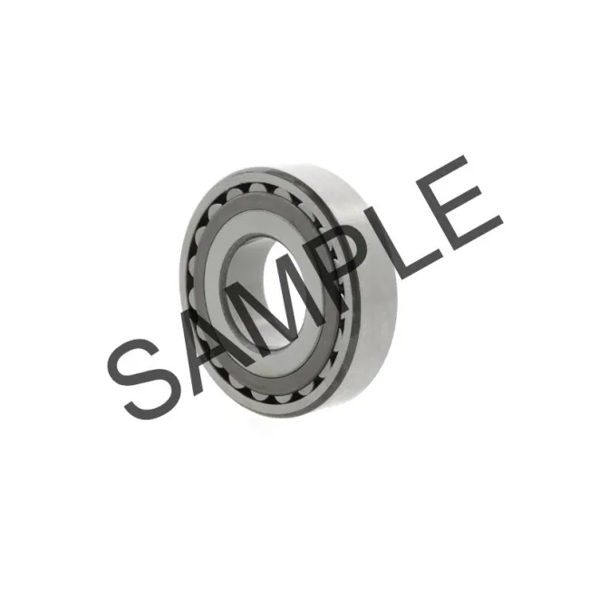22211EK/C3 | SKF