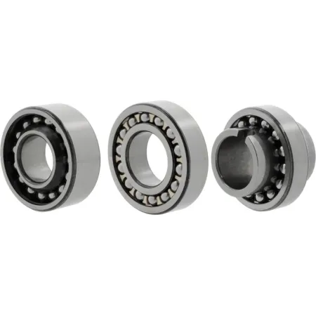1309 | NSK