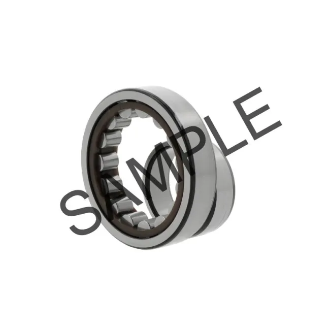 NUP2305ECML/C4 | SKF