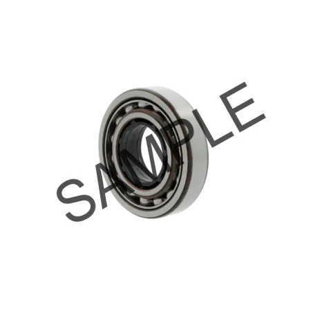QJ309MA/C2L | SKF